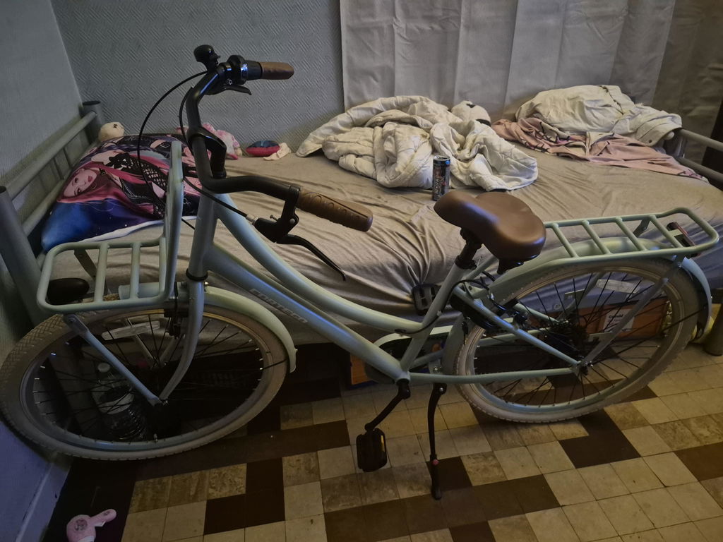Transporter Meisjesfiets 26 inch - 7 Versnellingen - Groen