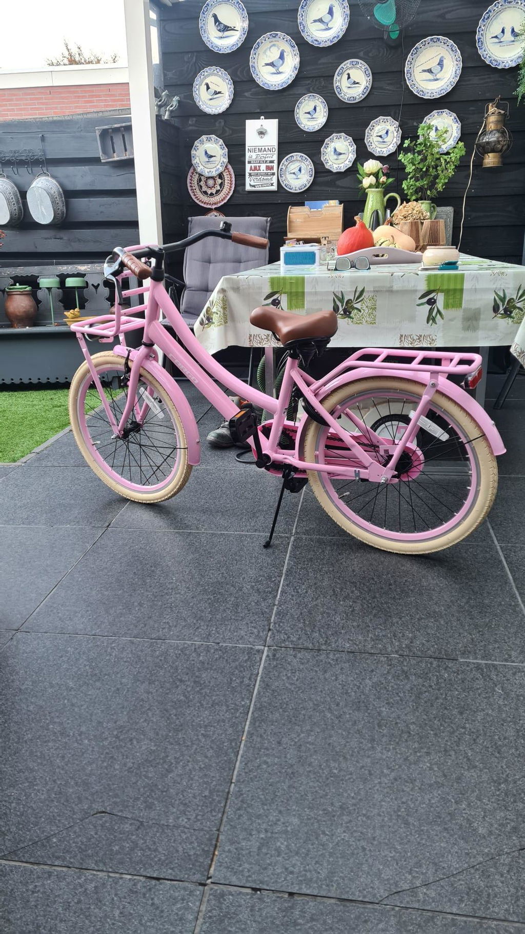 Transporter Meisjesfiets 22 inch Roze