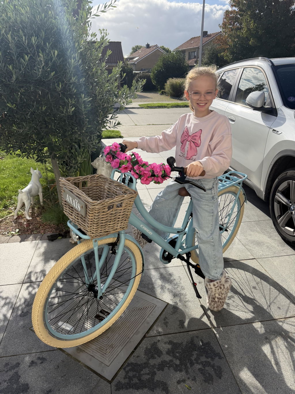 Transporter Meisjesfiets 26 inch - 7 Versnellingen - Blauw