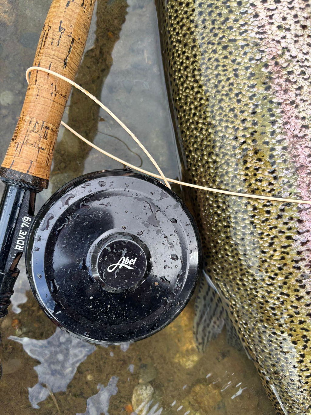 reel shimano sahara 4000 fe Original Floating Lure F09 Weight:1/2oz (14g) lightweight XGT7 graphite frame Tag:Freshwater
