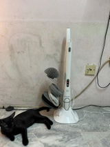 docawe review photo