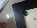Dev review photo