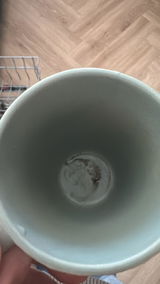Vanesa review photo