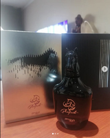 RODRIGO VIDAL HORMAZABAL review photo