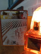 Jorge Vejar Maureira review photo