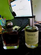 Pedro Salinas review photo