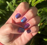 Bridgette G. review photo