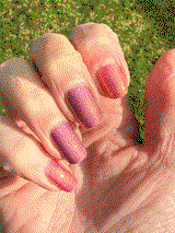 Sheri F. review photo
