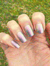 Sheri F. review photo