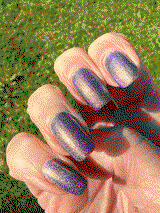 Sheri F. review photo