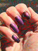 Sheridan F. review photo