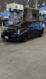 Dylan Hamel review photo