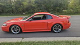 Allan Knapp review photo