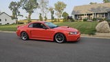 Allan Knapp review photo