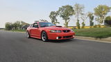 Allan Knapp review photo
