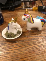 Javonte review photo