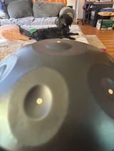 Sheri O. review photo