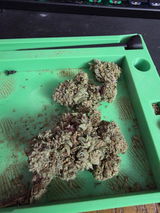 Anonymous review photo