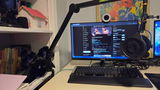 Rook the Bat review photo
