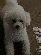Anonym review photo