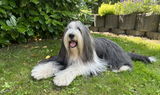 Karola review photo