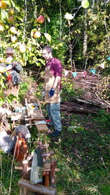 Coppice Collective CIC review photo