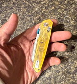 Steven Pate review photo