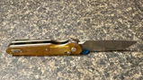 Steven Pate review photo