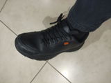 ERNESTO dlv review photo