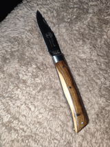 Frédéric pech review photo