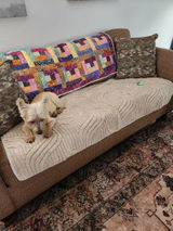 Guadalupe Rosas review photo