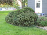Linda Eckert review photo