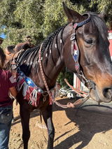 CountrySideHobbyHorse review photo