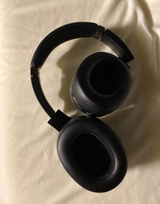 leonardo steiner review photo