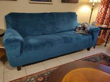 Kayla T. review photo