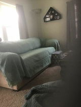 Joey review photo