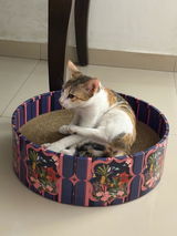 The Bella Scratch Bed - Floral Art