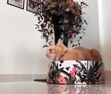 The Bella Scratch Bed - Groovy Cats