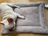 Sophie review photo