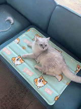 Hannah W. review photo