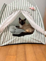 Chloe W. review photo