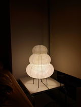 Bina review photo