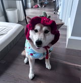 Etsy customer review photo