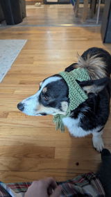Etsy customer review photo