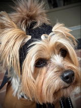 Etsy customer review photo