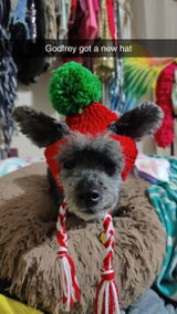 Etsy customer review photo