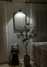 LICAJ SUADA review photo