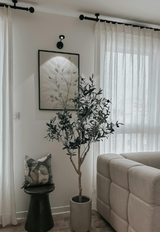 LICAJ SUADA review photo