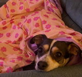 Daisy’s mama review photo