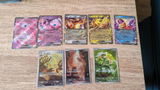 Alexandre G. review photo